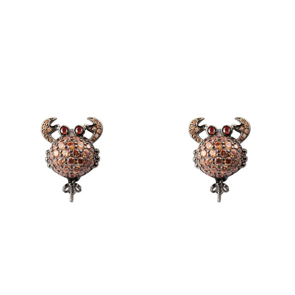 Bicolor Silver Earrings