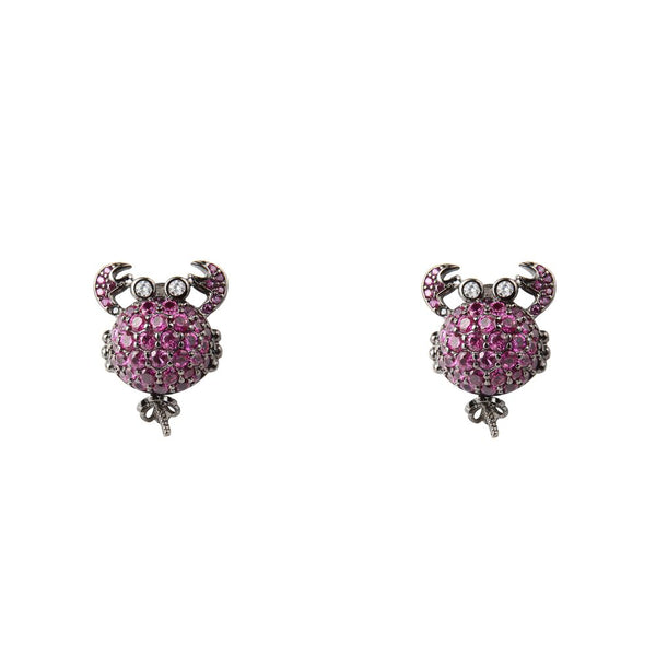 Bicolor Silver Earrings