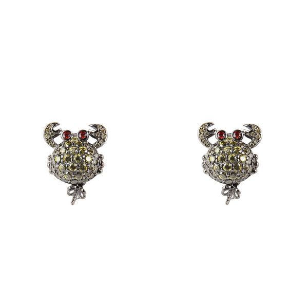 Black Silver Earrings