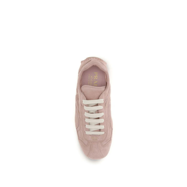 Multicolor Lamb Ovis Aries Aries Sneakers