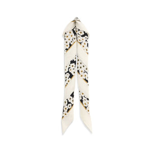 Multicolor Silk Scarf