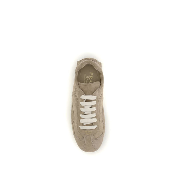 Beige Lamb Ovis Aries Aries Athletic Sneakers
