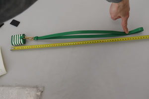 Green Leather Strap Gold Metal Logo Airpods Case