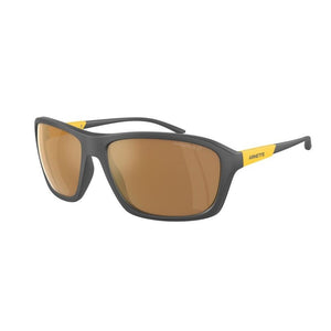 Brown Resin Sunglasses