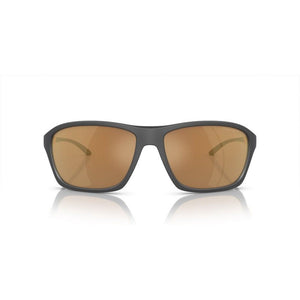 Brown Resin Sunglasses