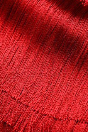 Red Silk Strapless Fringe Crop Tube Top
