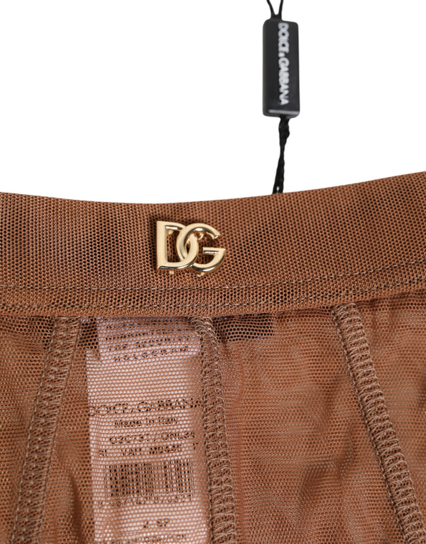Brown Sheer Mesh High Waist Briefs Underwear
