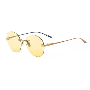 Brown Titanium Sunglasses