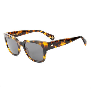 Brown Acetate Sunglasses
